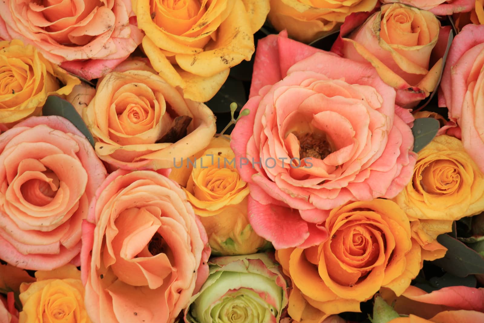 Yellow, orange and pink roses in a floral arrangement at a wedding