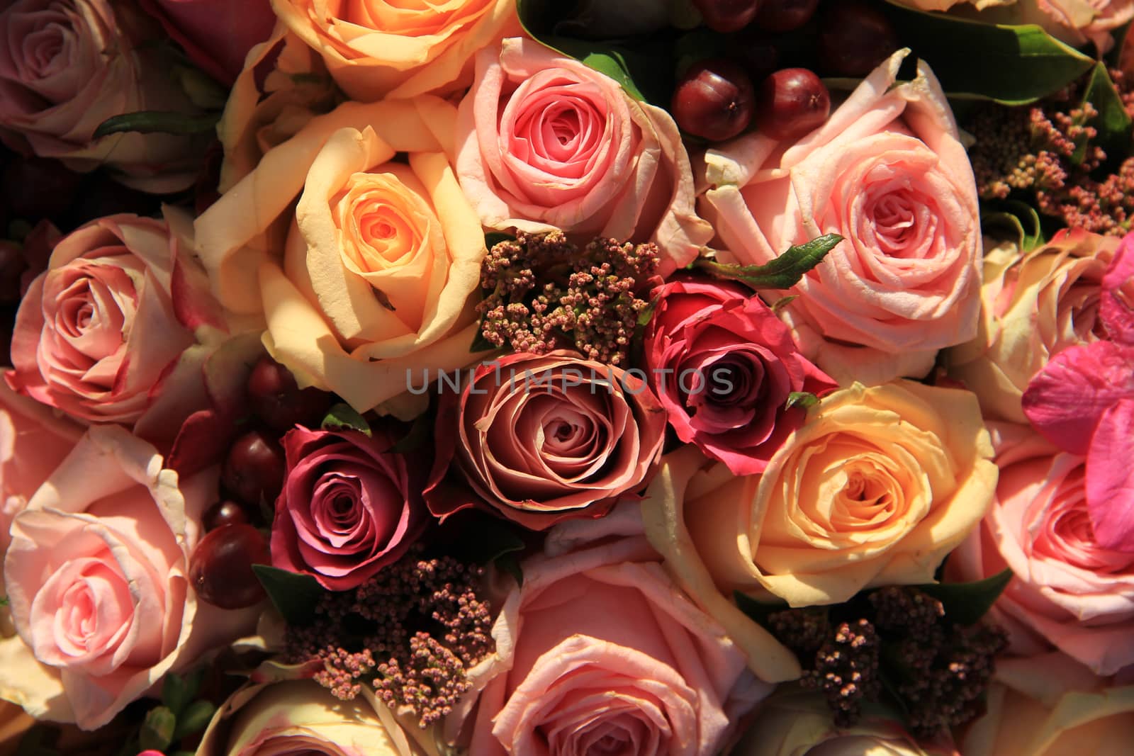 Pastel roses in different shades of pink in a bridal arrangement