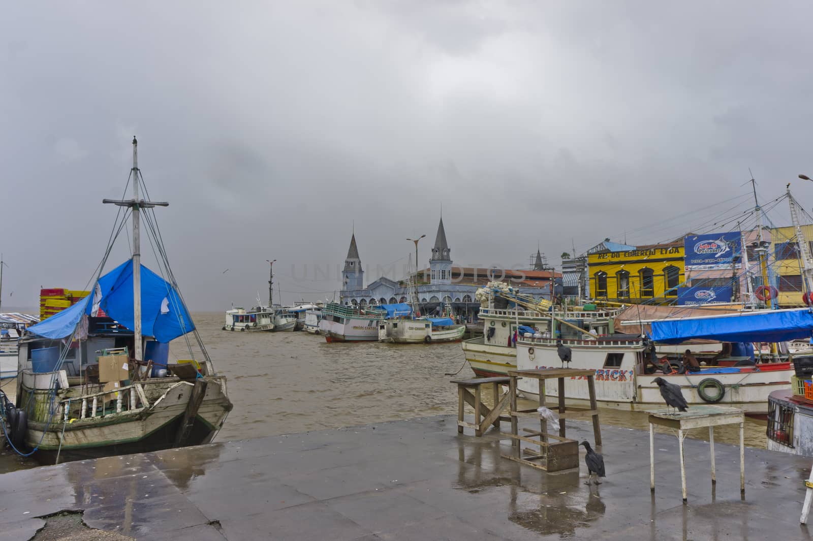 Belem, Amazon Basin, Brazil, South America by giannakisphoto