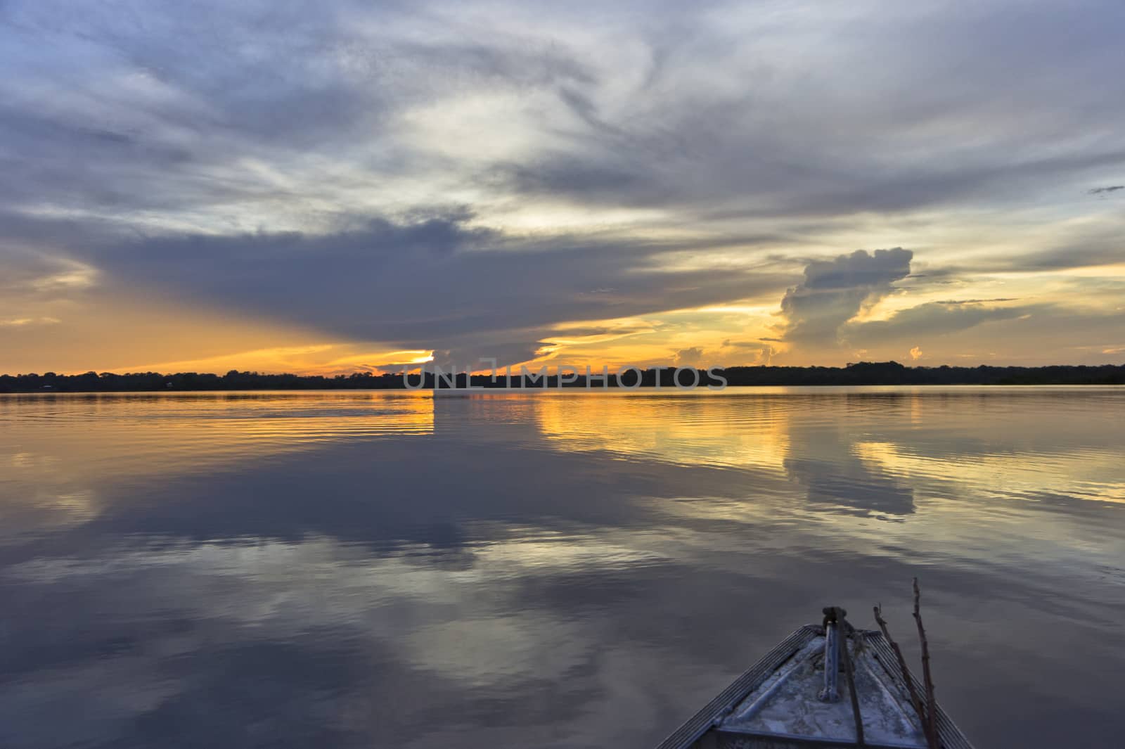 Amazon Basin, Brazil, South America by giannakisphoto