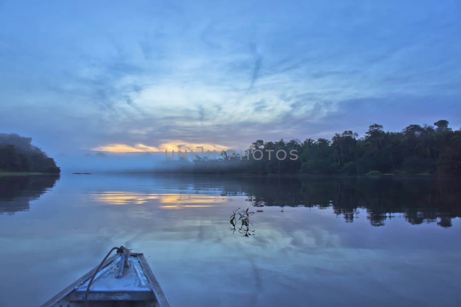 Amazon Basin, Brazil, South America