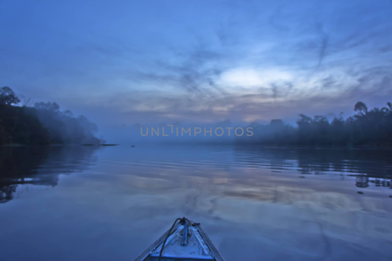 Amazon Basin, Brazil, South America