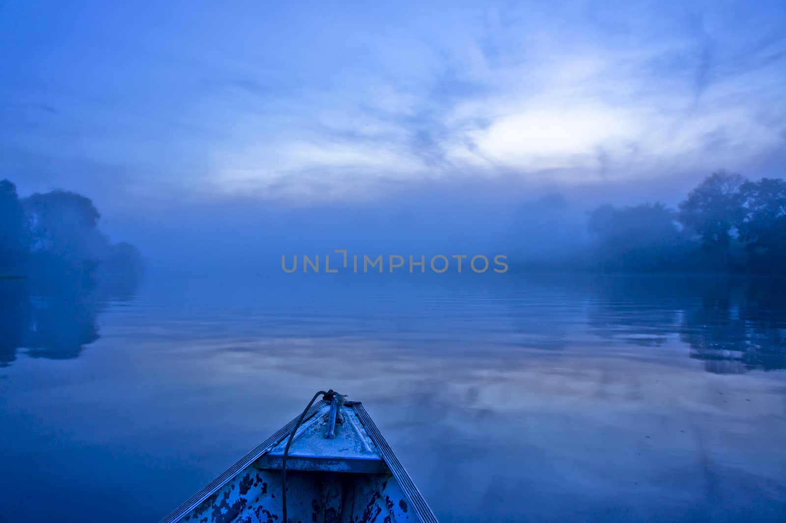 Amazon Basin, Brazil, South America