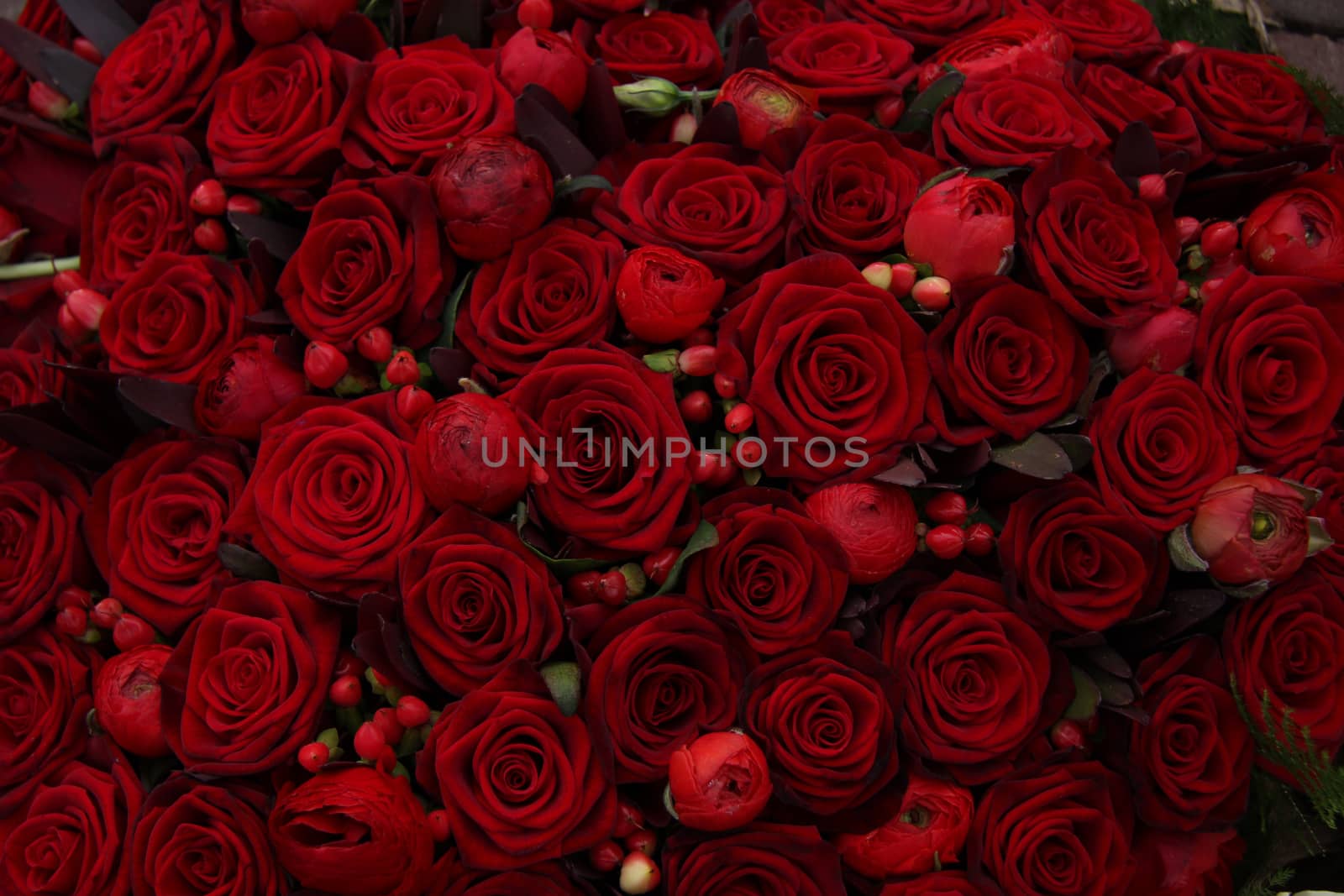 Red ranunculus, berries and roses in a group