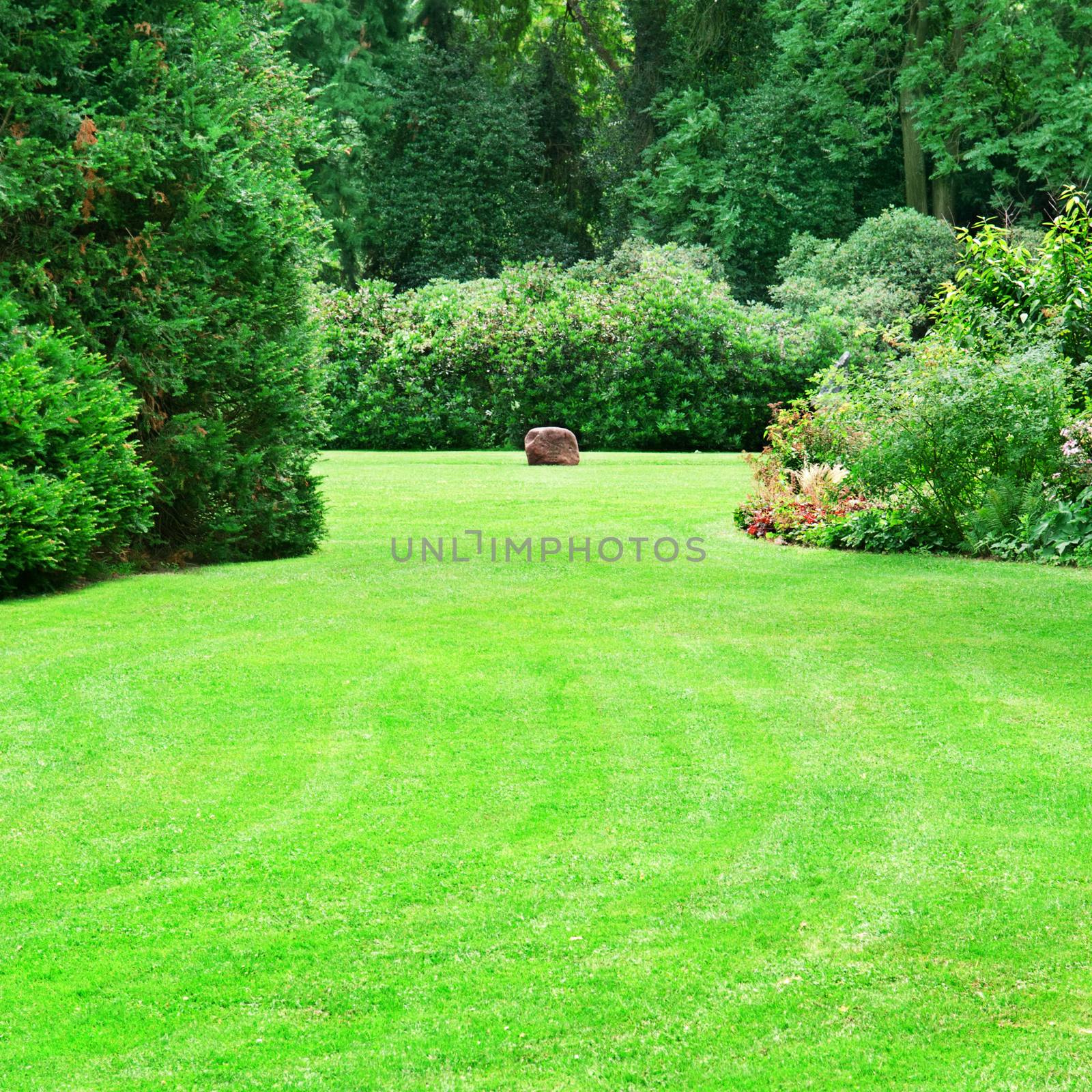 beautiful summer garden with large green lawns by galina_velusceac