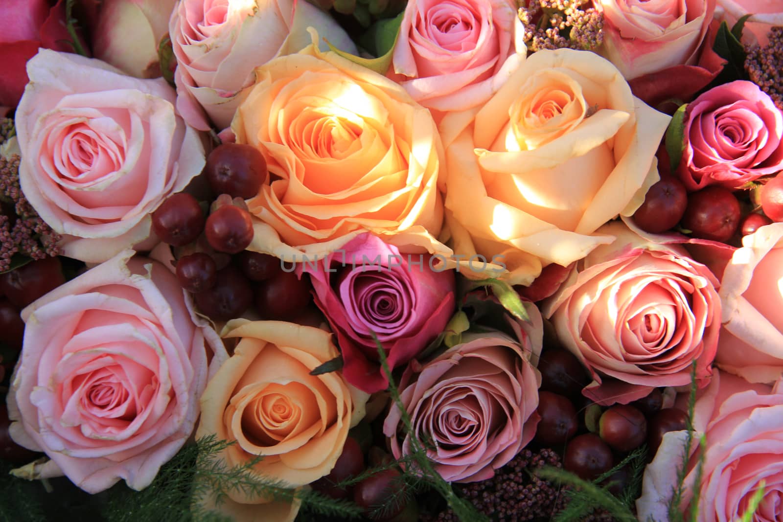 Pastel roses in different shades of pink in a bridal arrangement