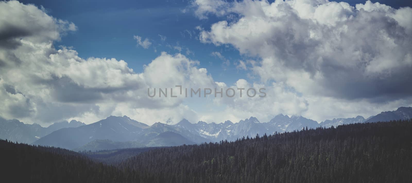 summer mountains green grass and blue sky landscape by Brejeq