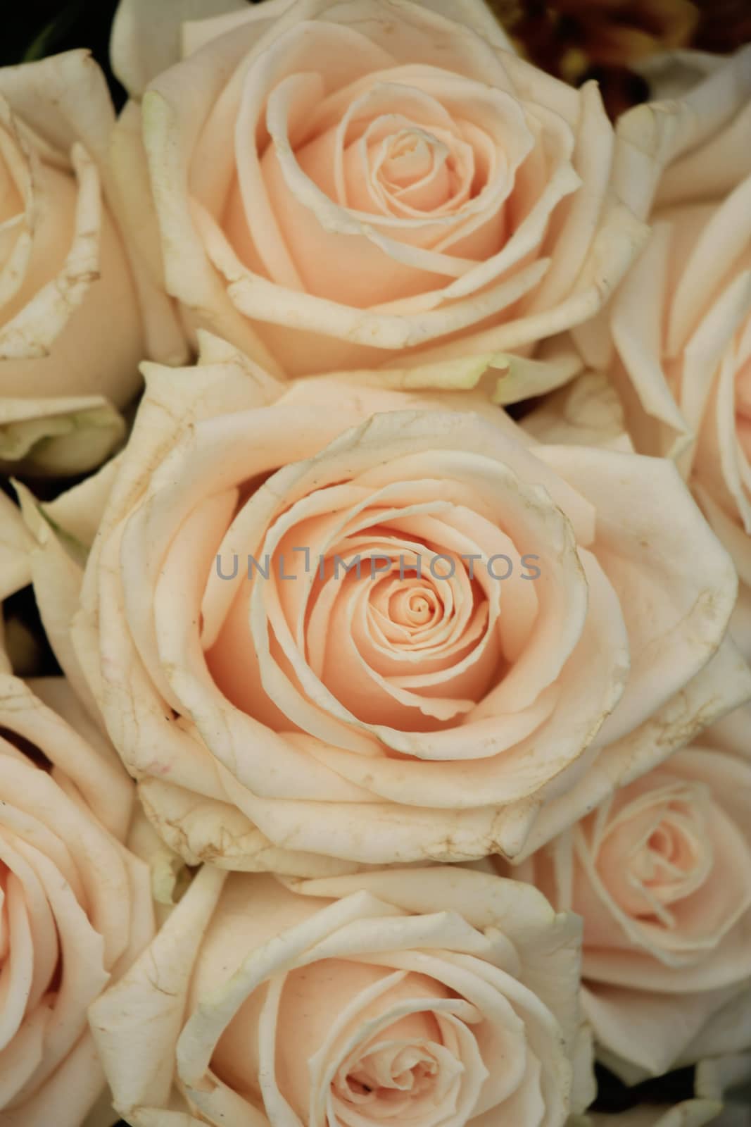 Pale pink roses in a floral arrangement at a wedding