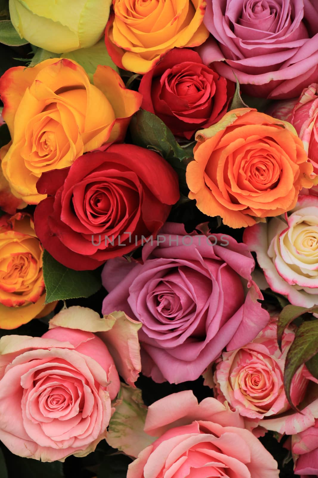 Multicolored roses in a colorful wedding arrangement