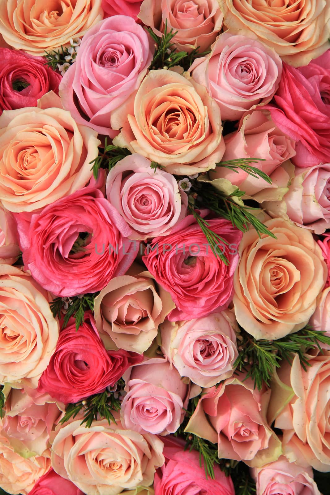 Pink roses and peonies in a mixed bridal bouquet