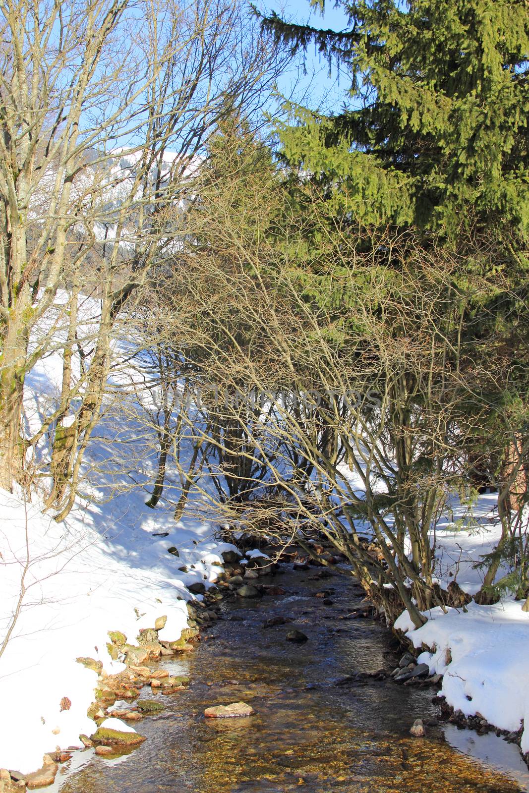 Winter landscape with forest and river by destillat