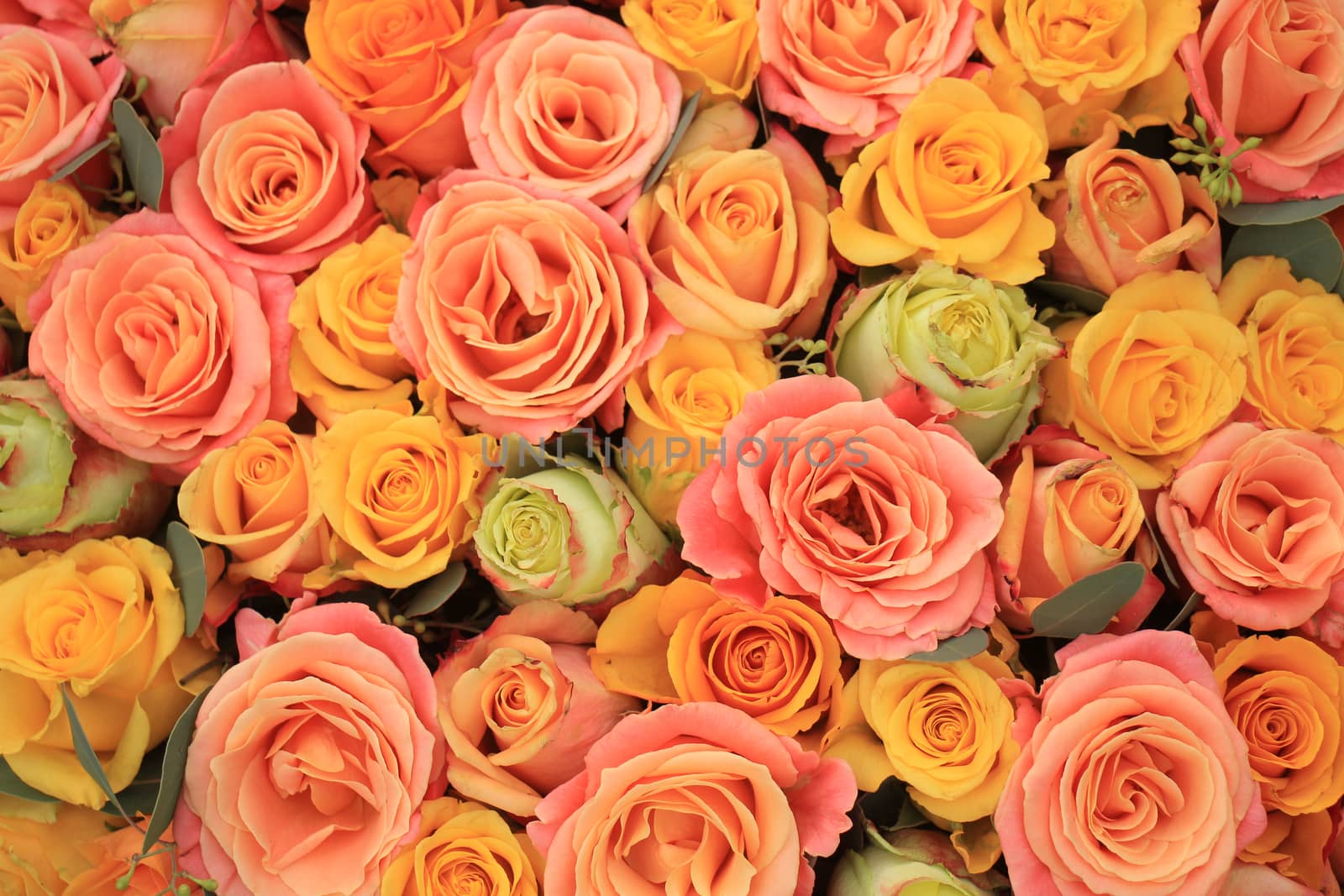 Yellow, orange and pink roses in a floral arrangement at a wedding