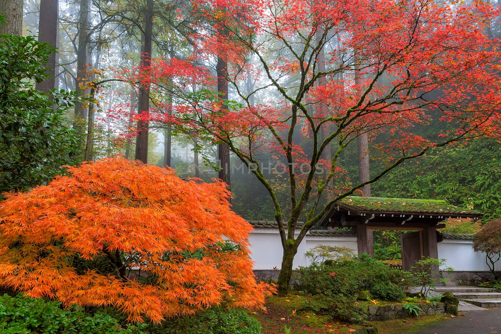 Gateway to Portland Japanes Garden in the Fall of 2014