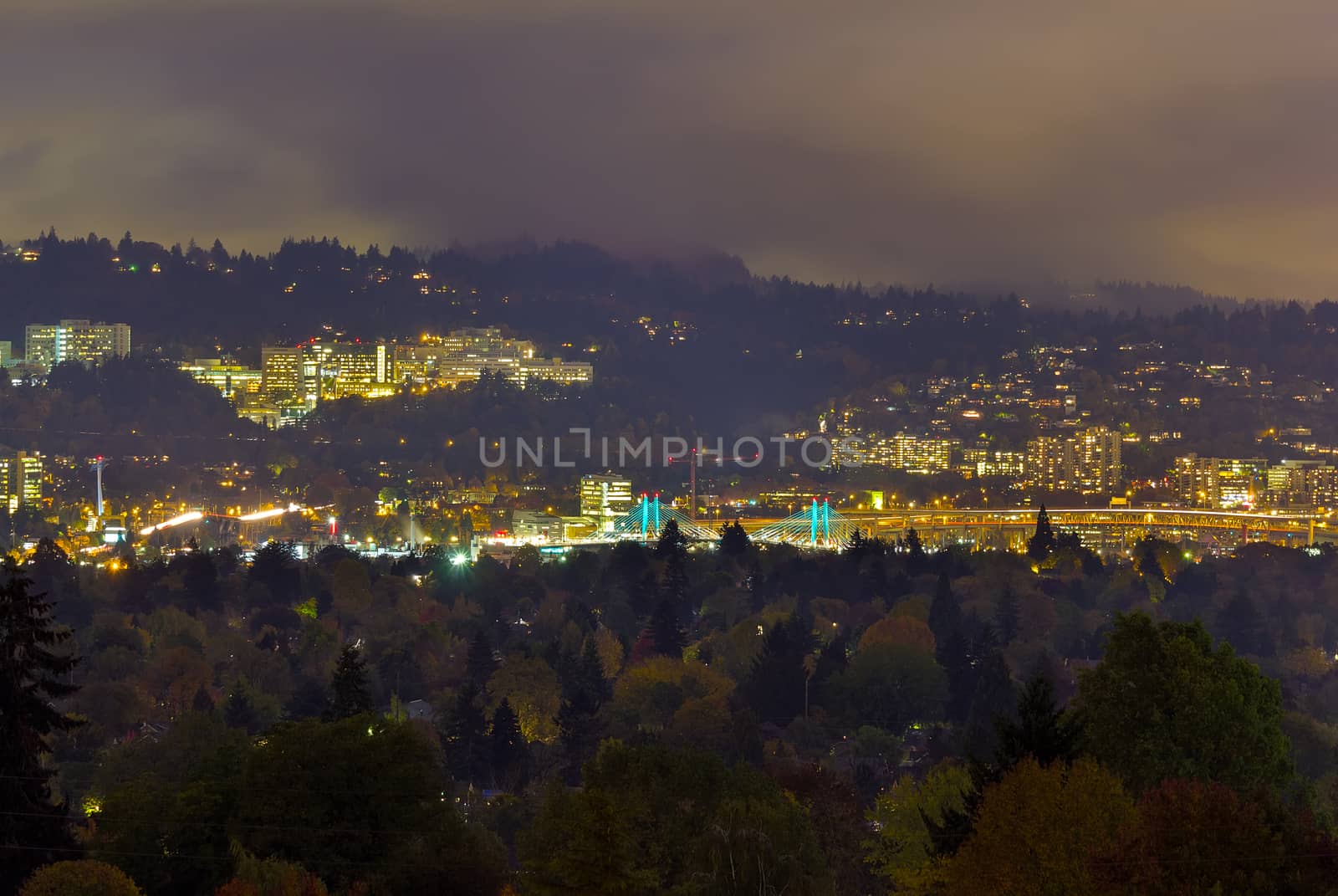Marquam Hill and Portland Bridges at Night by Davidgn