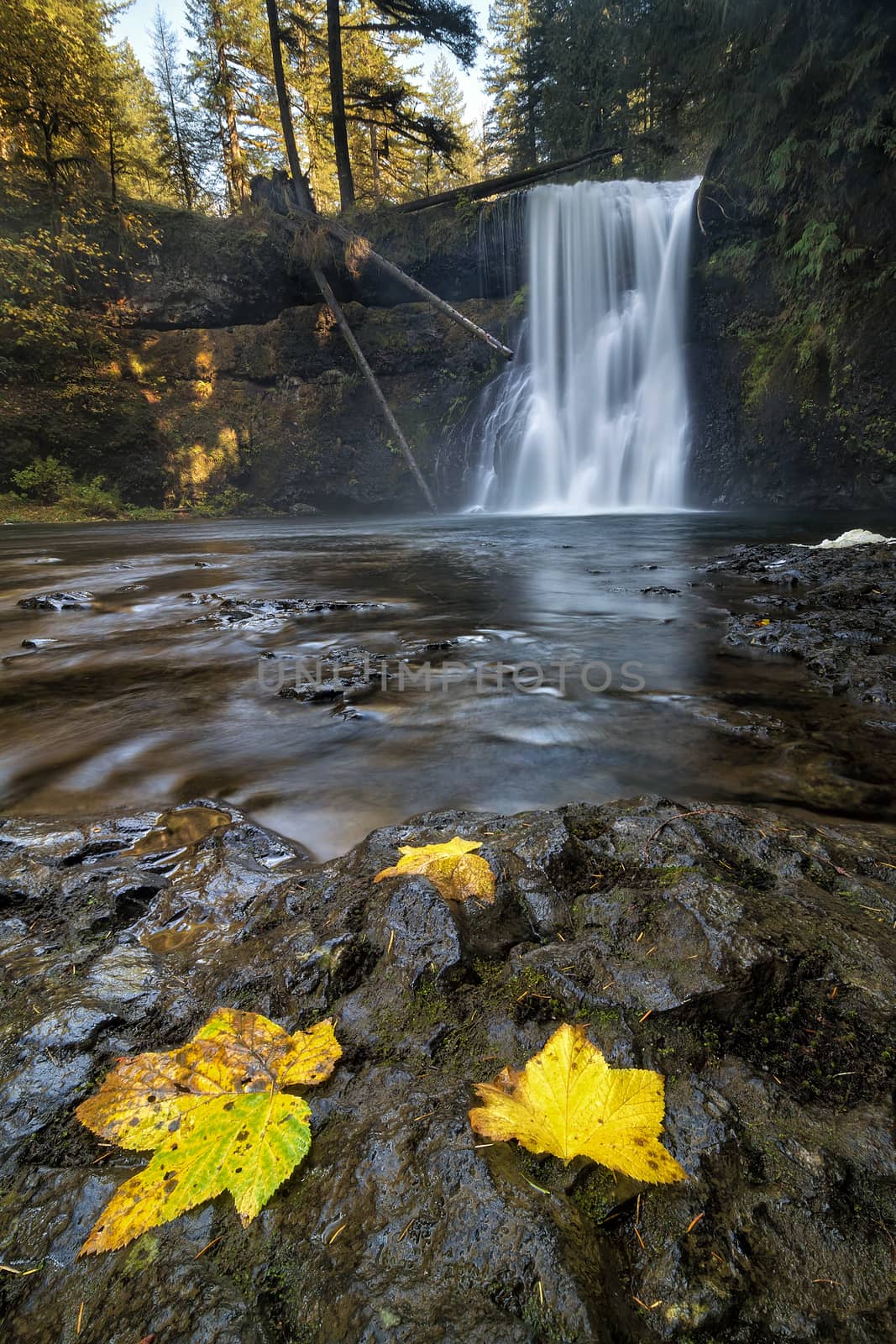 Upper North Falls at Silver Falls State Park Oregon in Autumn