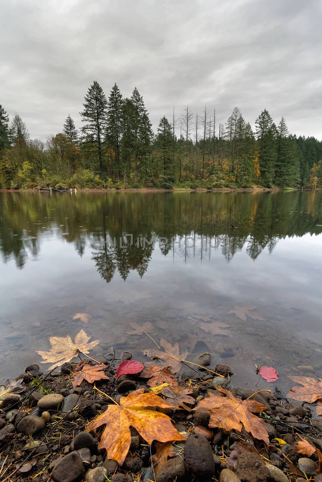 Round Lake at Lacamas Park in  Washington State during fall season on a rainy day