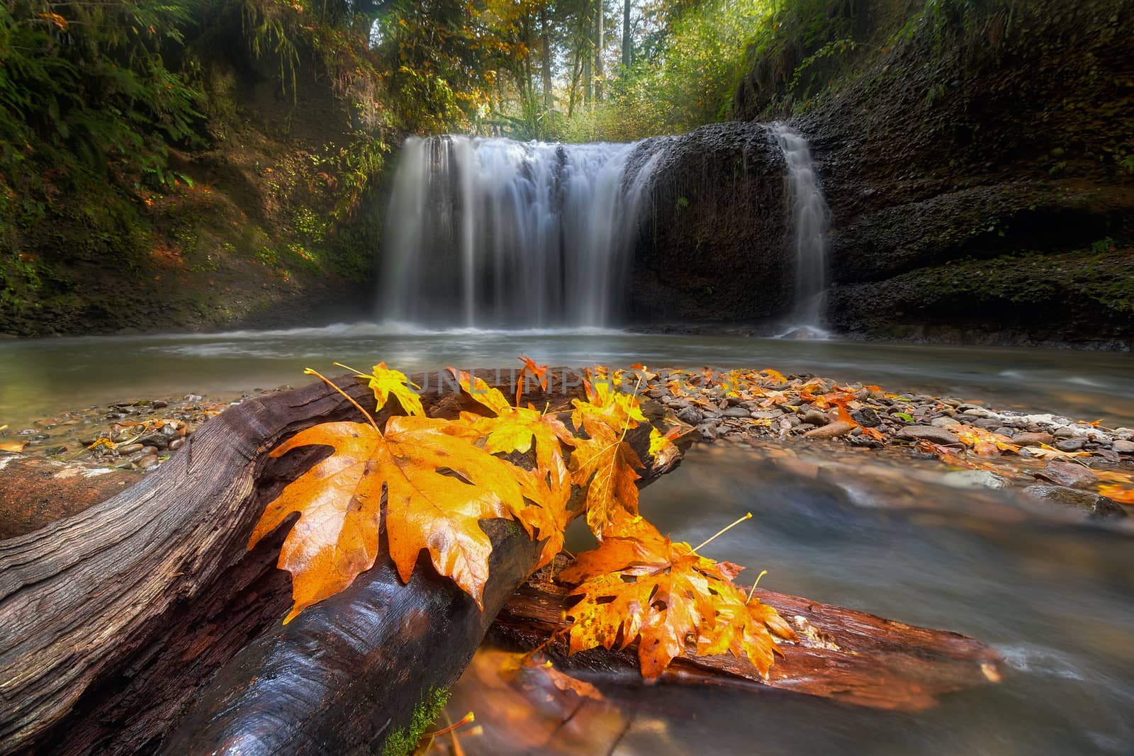Autumn at Hidden Falls by Davidgn