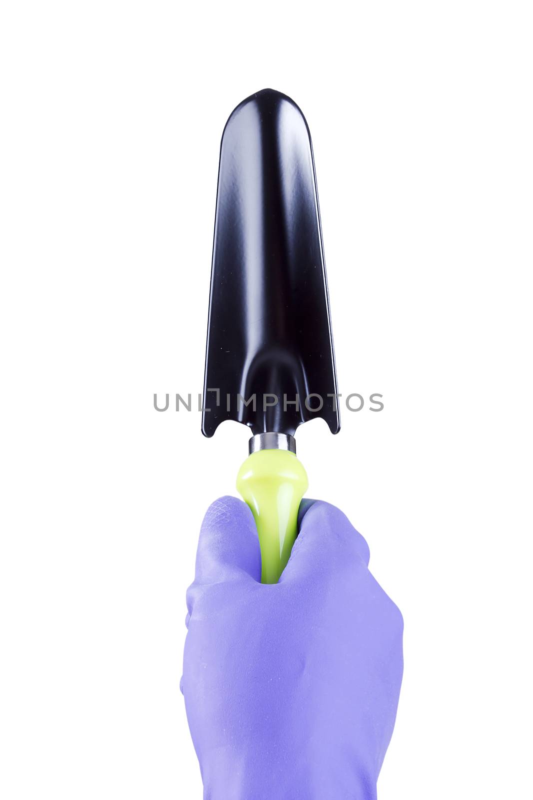 Hand in glove with garden tool on white background