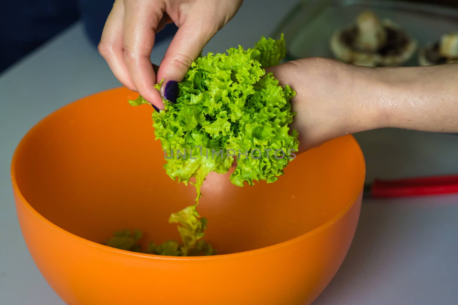 hands tearing green lettuce over yellow bowl