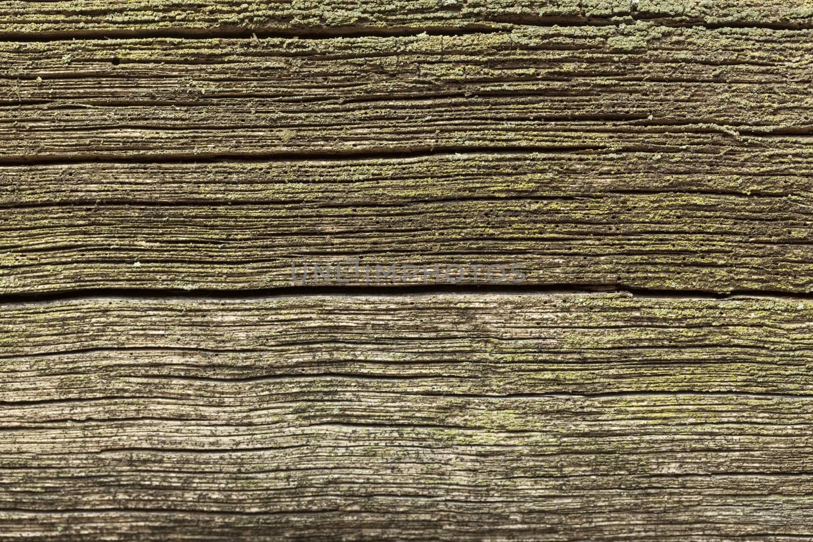 old black and porous plank as background 