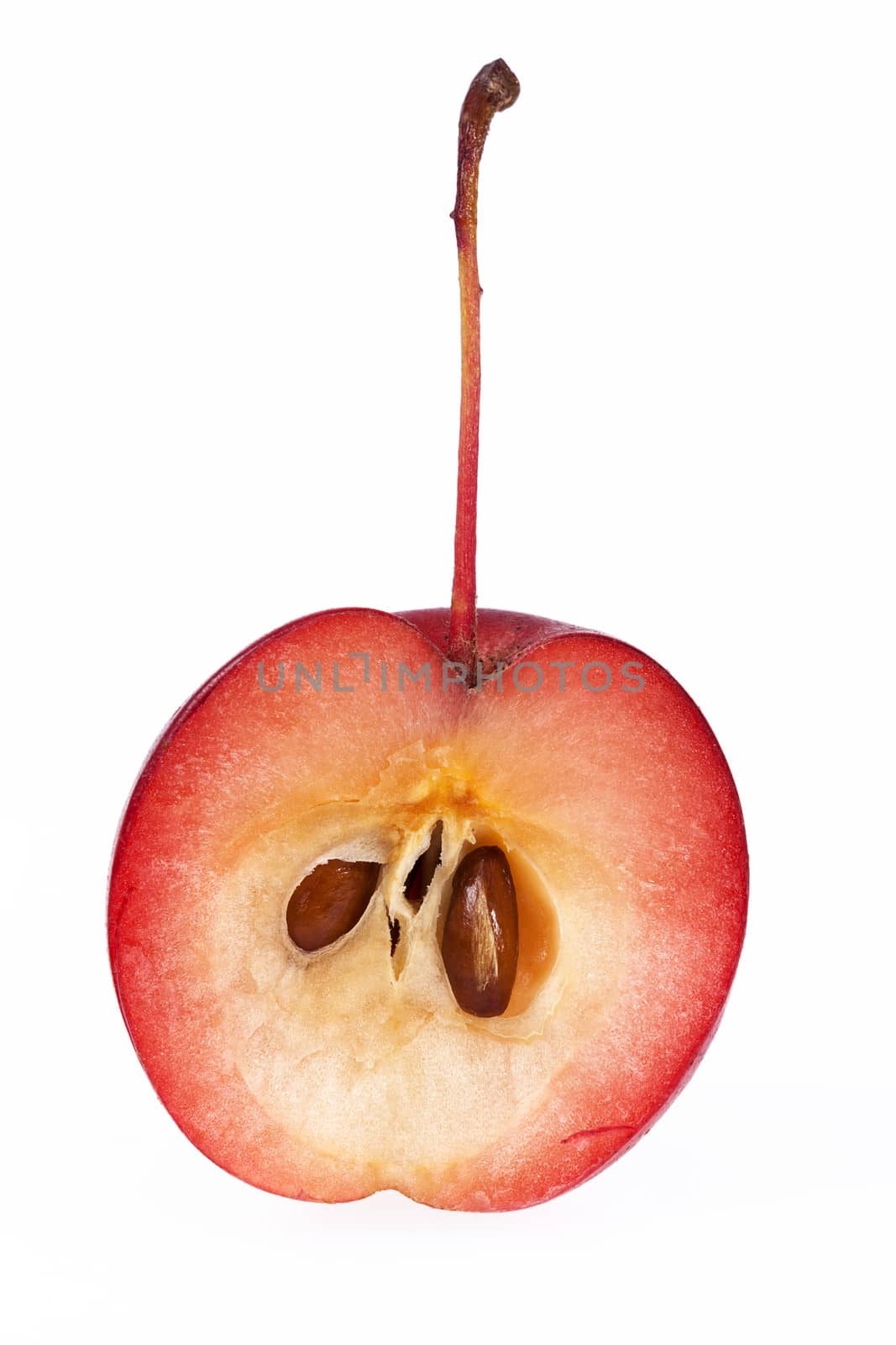 Red paradise apple isolated on white background, close up