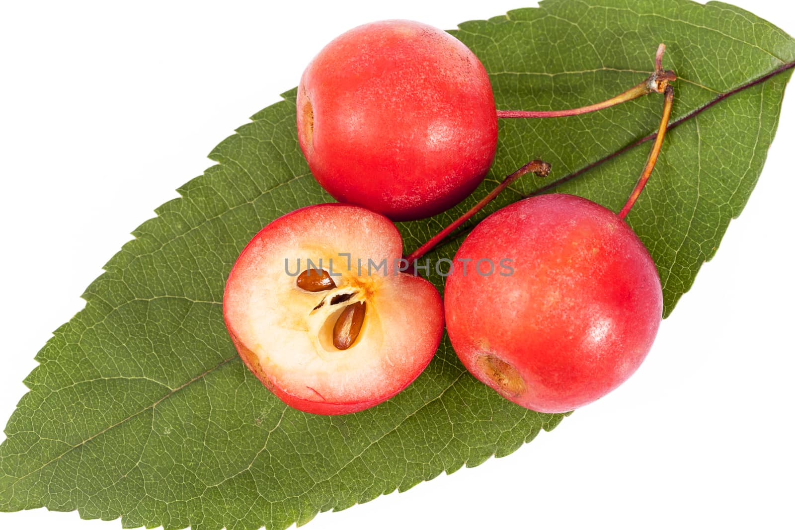 Red paradise apples isolated on white background, close up by mychadre77