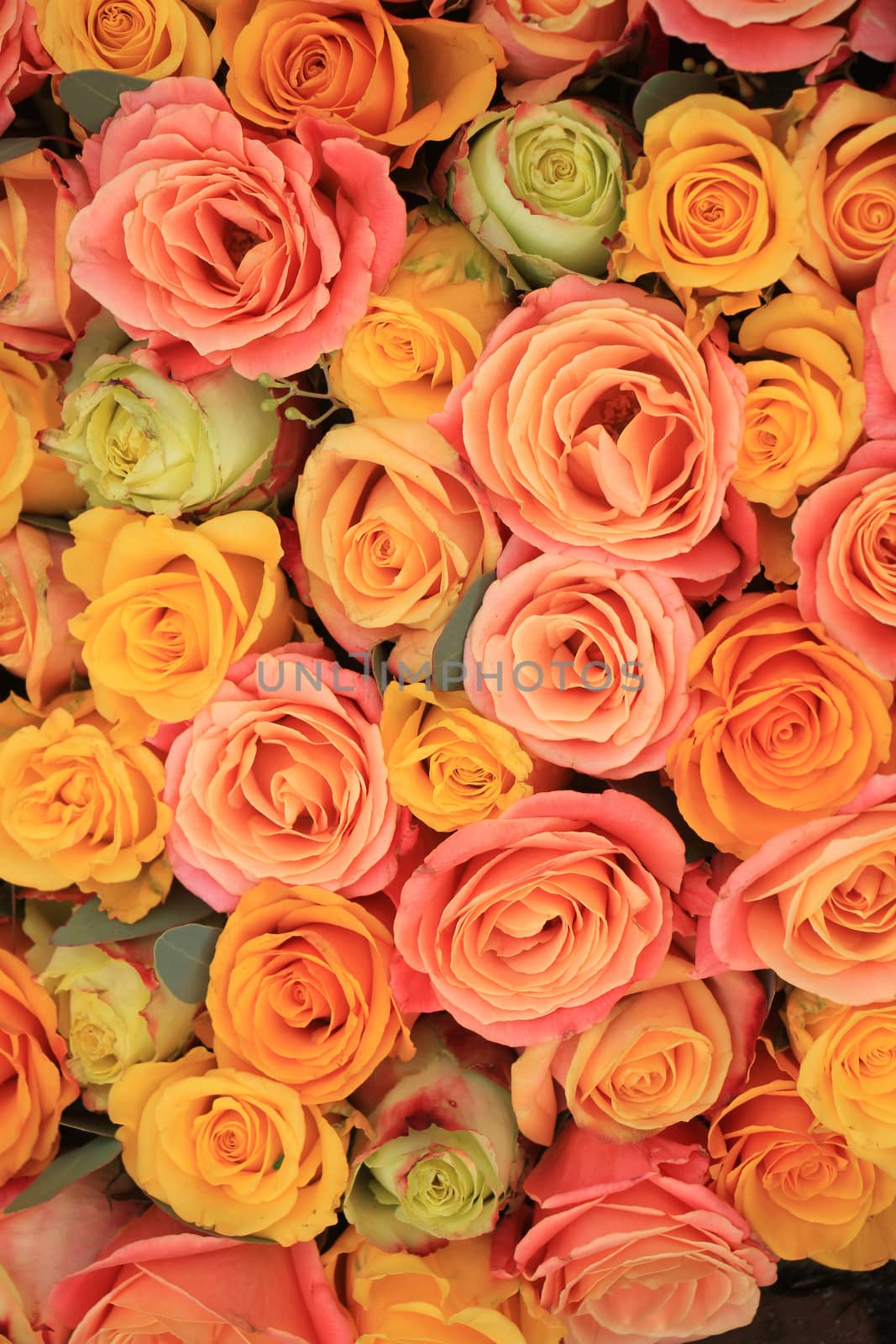 Yellow, orange and pink roses in a floral arrangement at a wedding