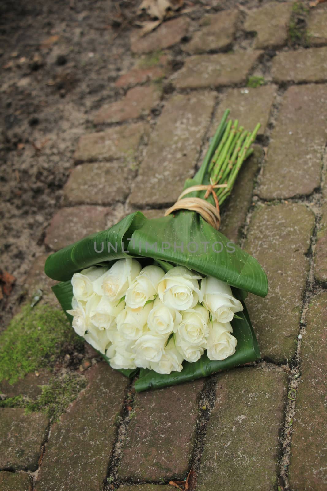 White sympathy roses in a small bouquet on the pavement