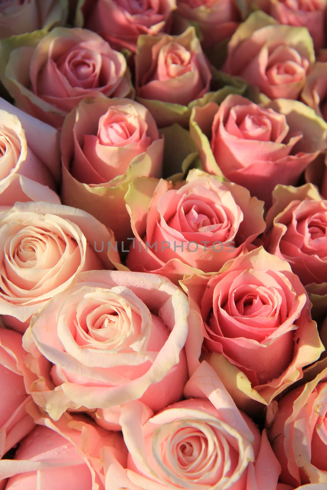 Pink roses in a floral wedding arrangement