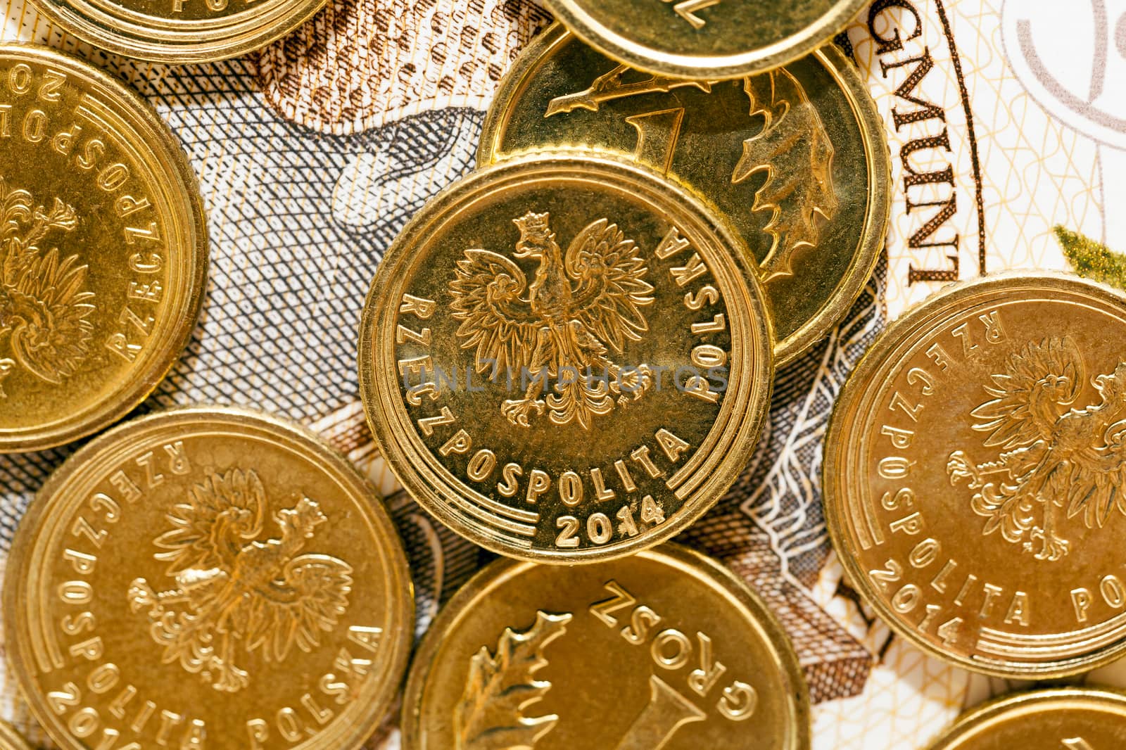 photographed close-up Polish money - zloty, banknotes and coins