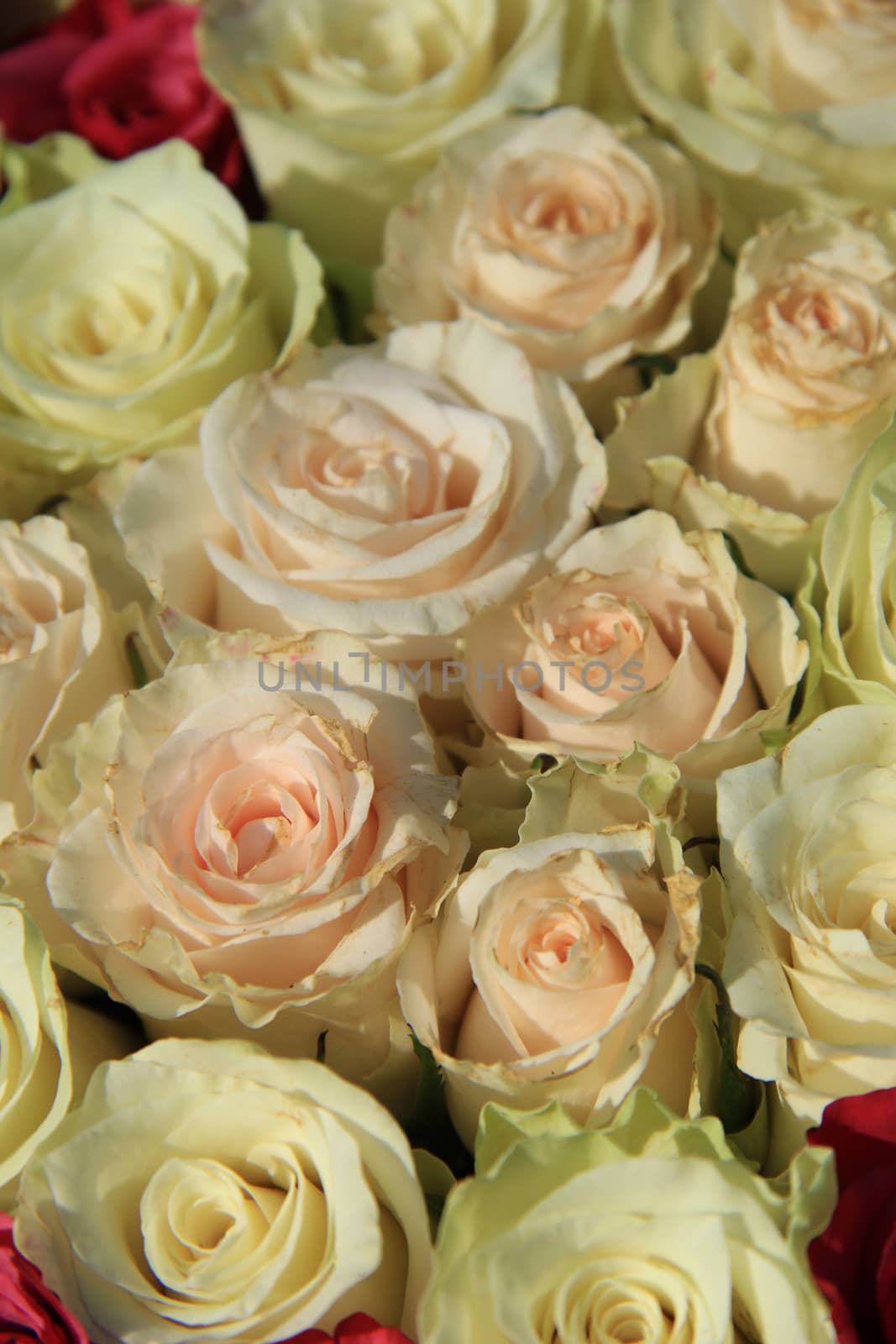 Roses in different shades of pink, bridal arrangement by studioportosabbia