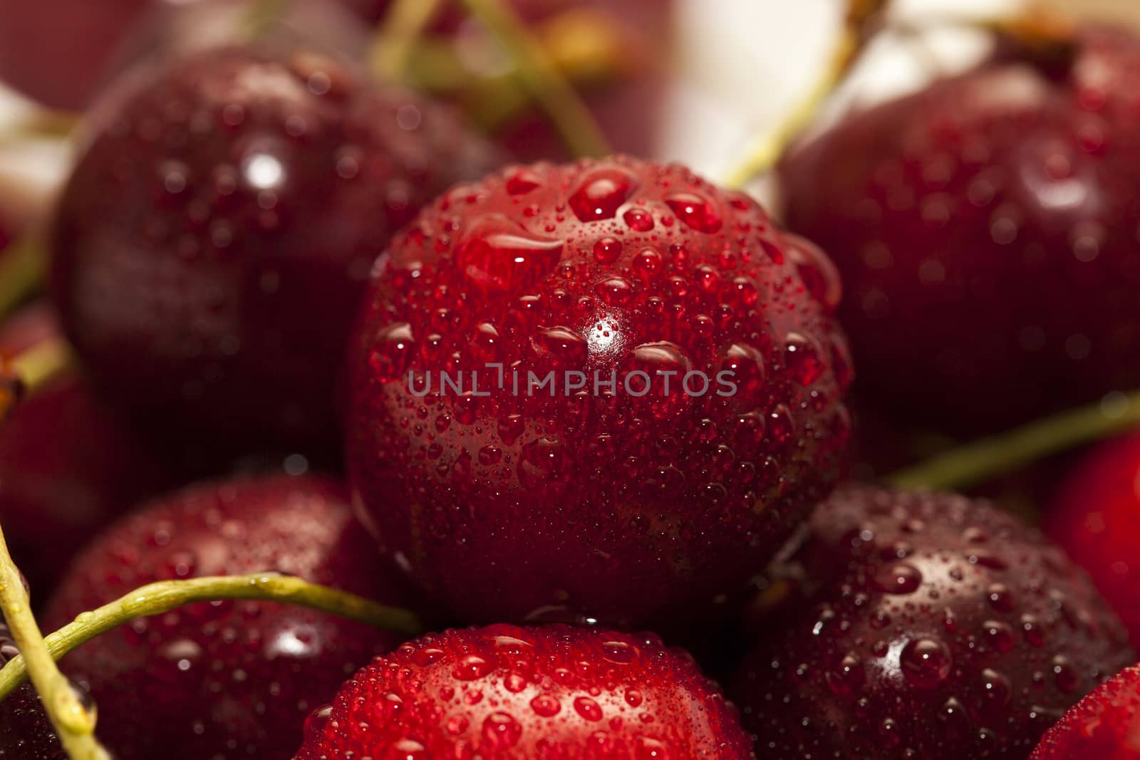 red ripe cherry by avq