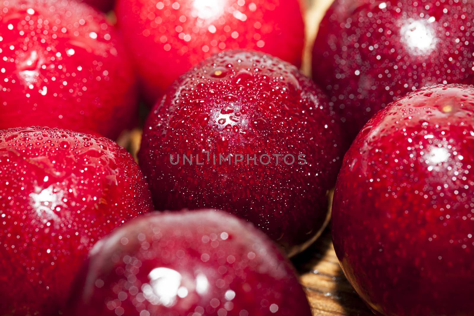 photographed close-up of ripe red cherries covered with water drops, shallow depth of field