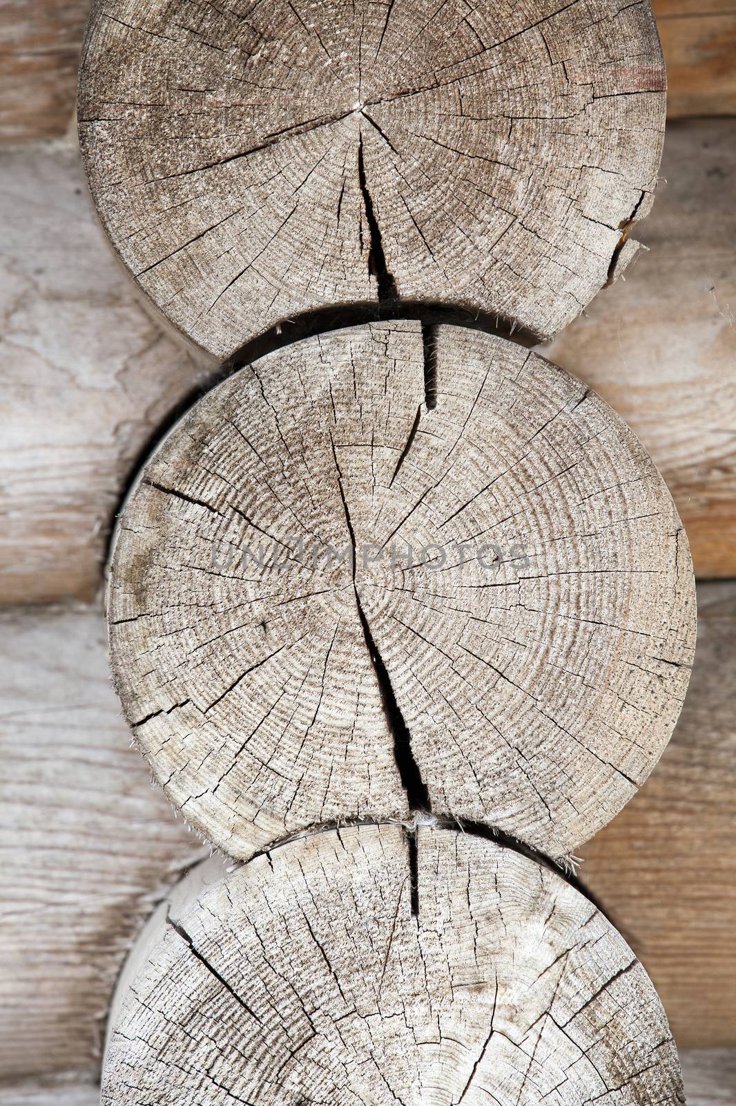 photographed close-up frame house made of wooden logs, Belarus