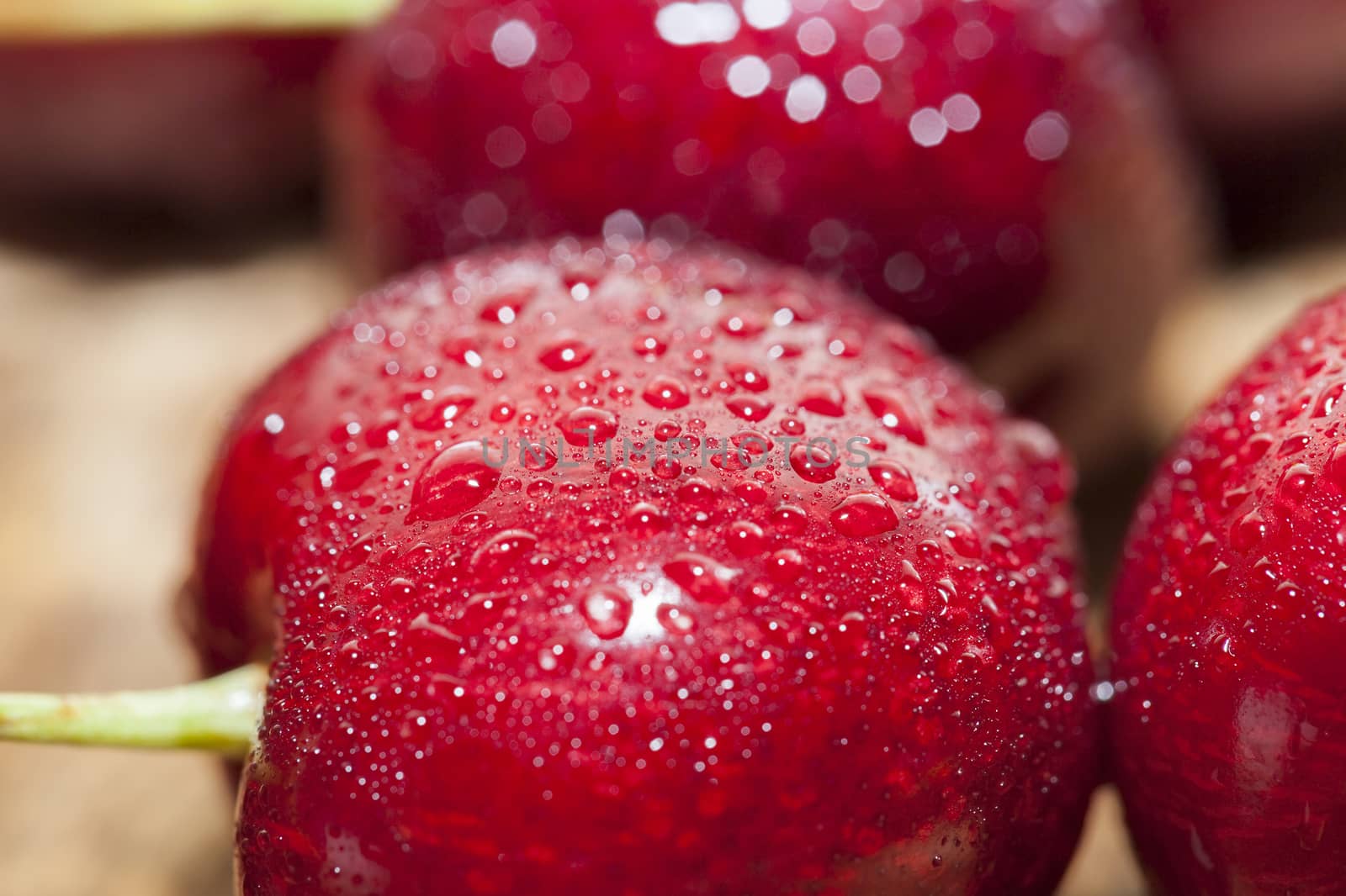 photographed close-up of ripe red cherries covered with water drops, shallow depth of field