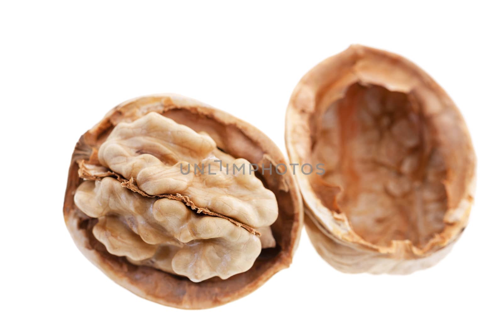 isolated on white background break the shell of a walnut yellow