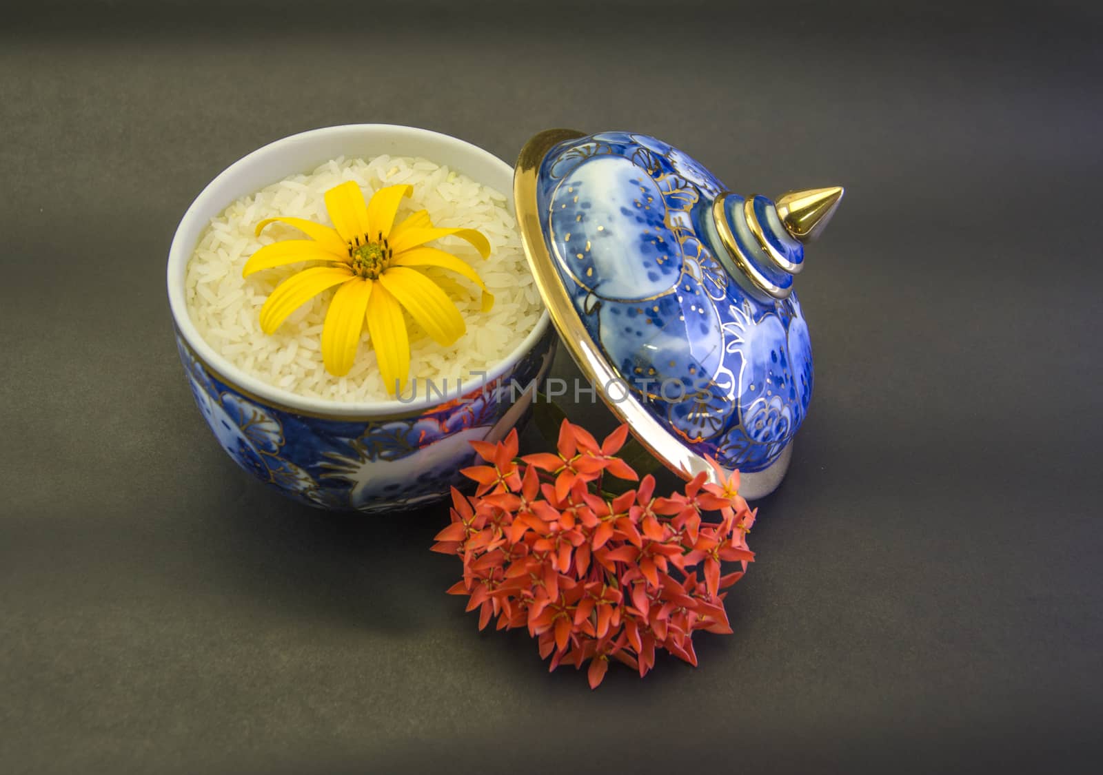 Benjarong rice flower spike  jerusalem  isolated