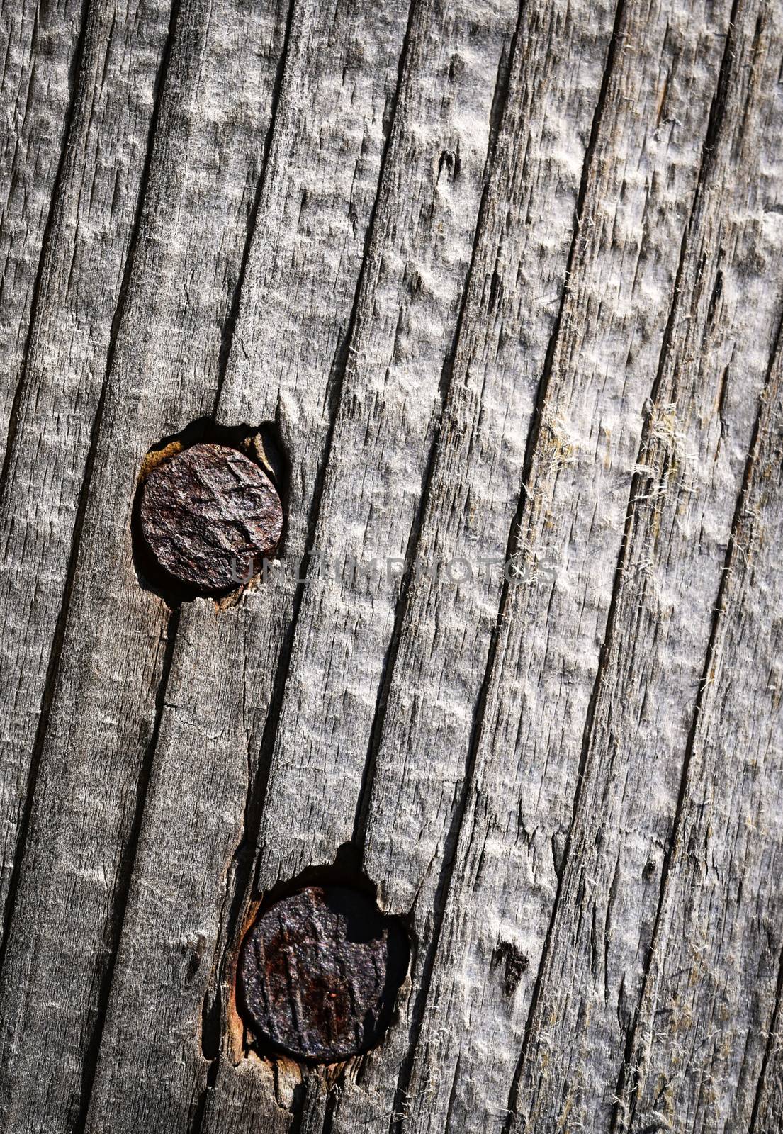 background or texture two rusty nails in wood