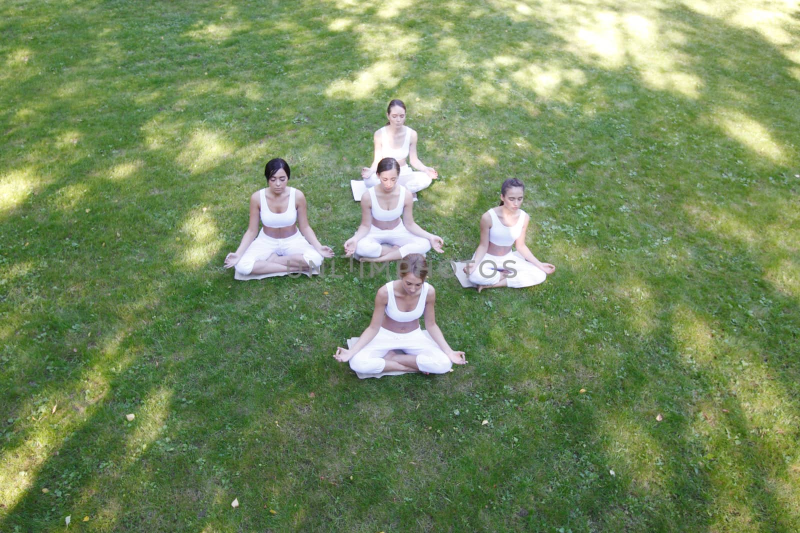 Women sitting in lotus position during yoga training at park