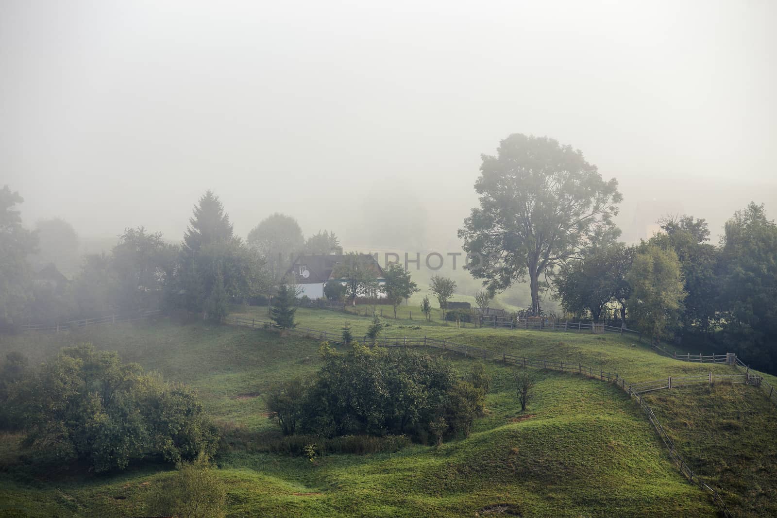 Foggy morning in a village on the hills of Carpathians