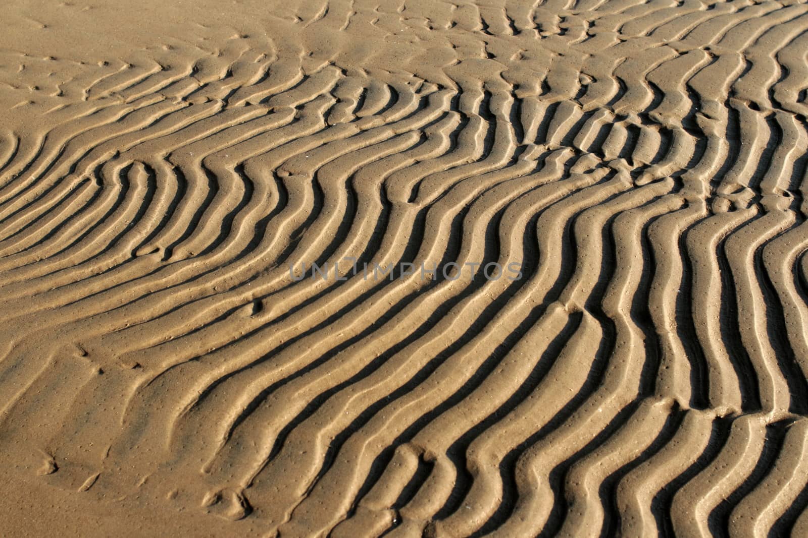 beach  Sand wavy pattern abstract  background