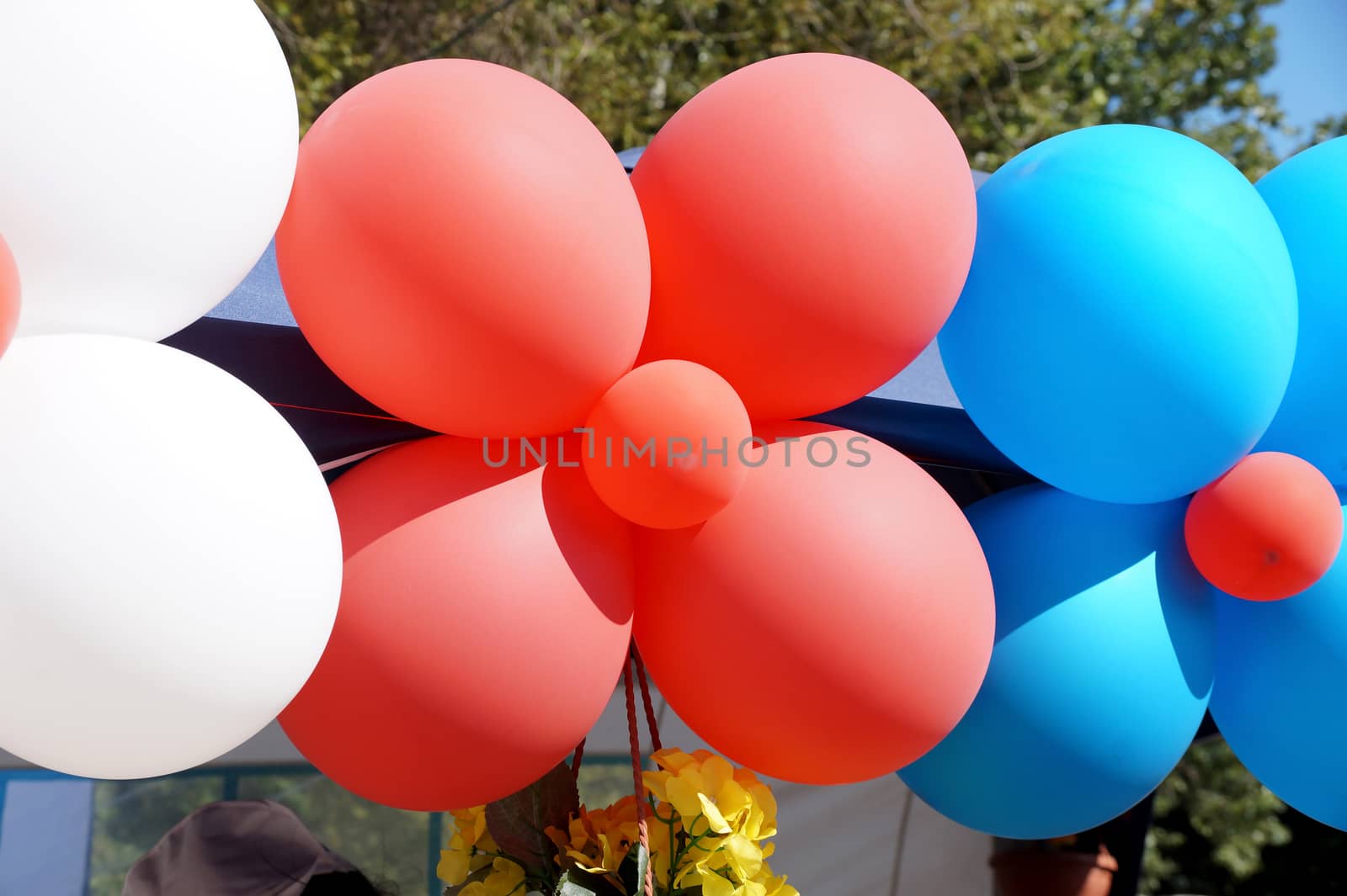 Big garland of multi-colored balloons in several colors