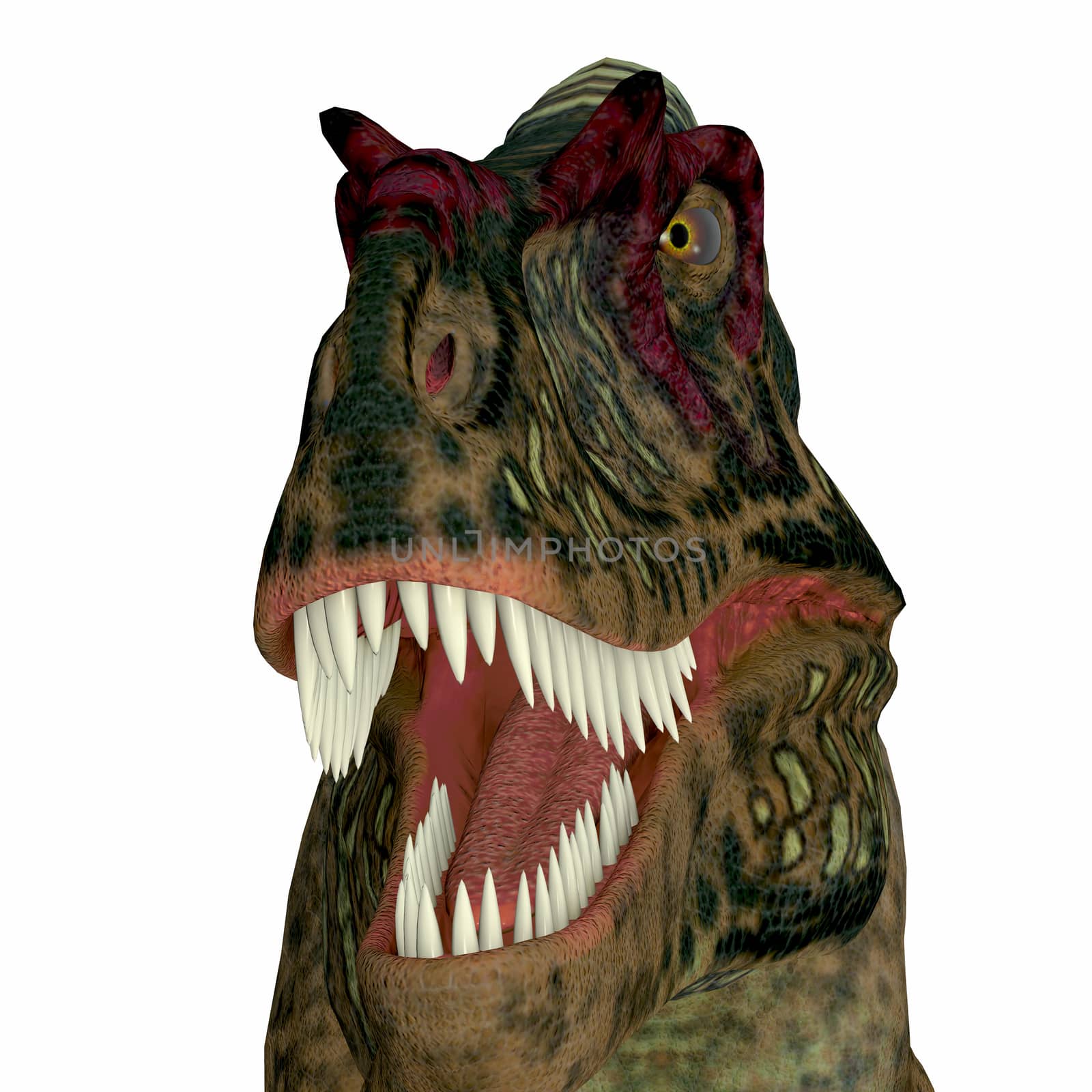 Albertosaurus Dinosaur Head by Catmando