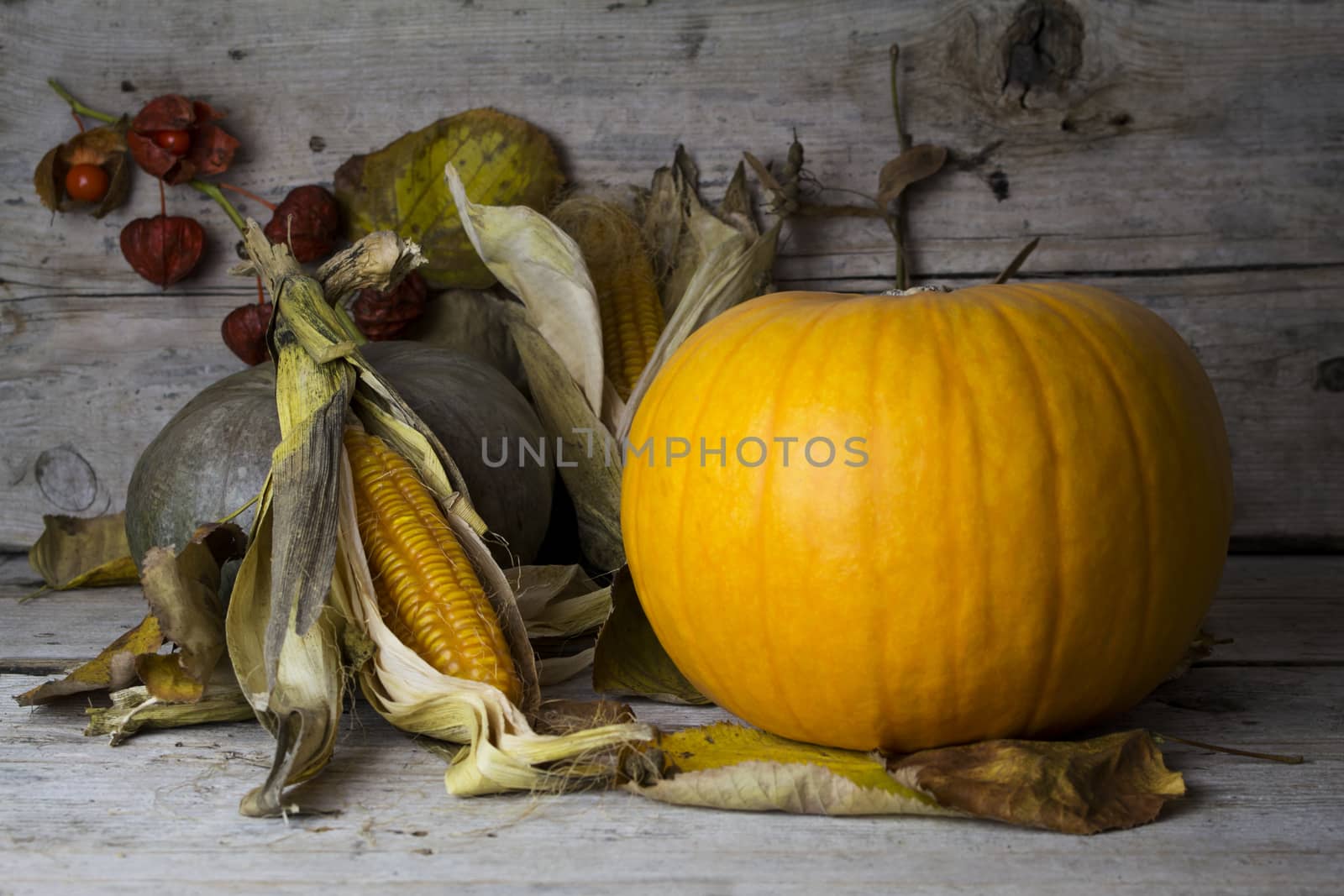 Happy Thanksgiving Day, Decoration on a wooden table with Pumpkins, Corncob and autumn leaves