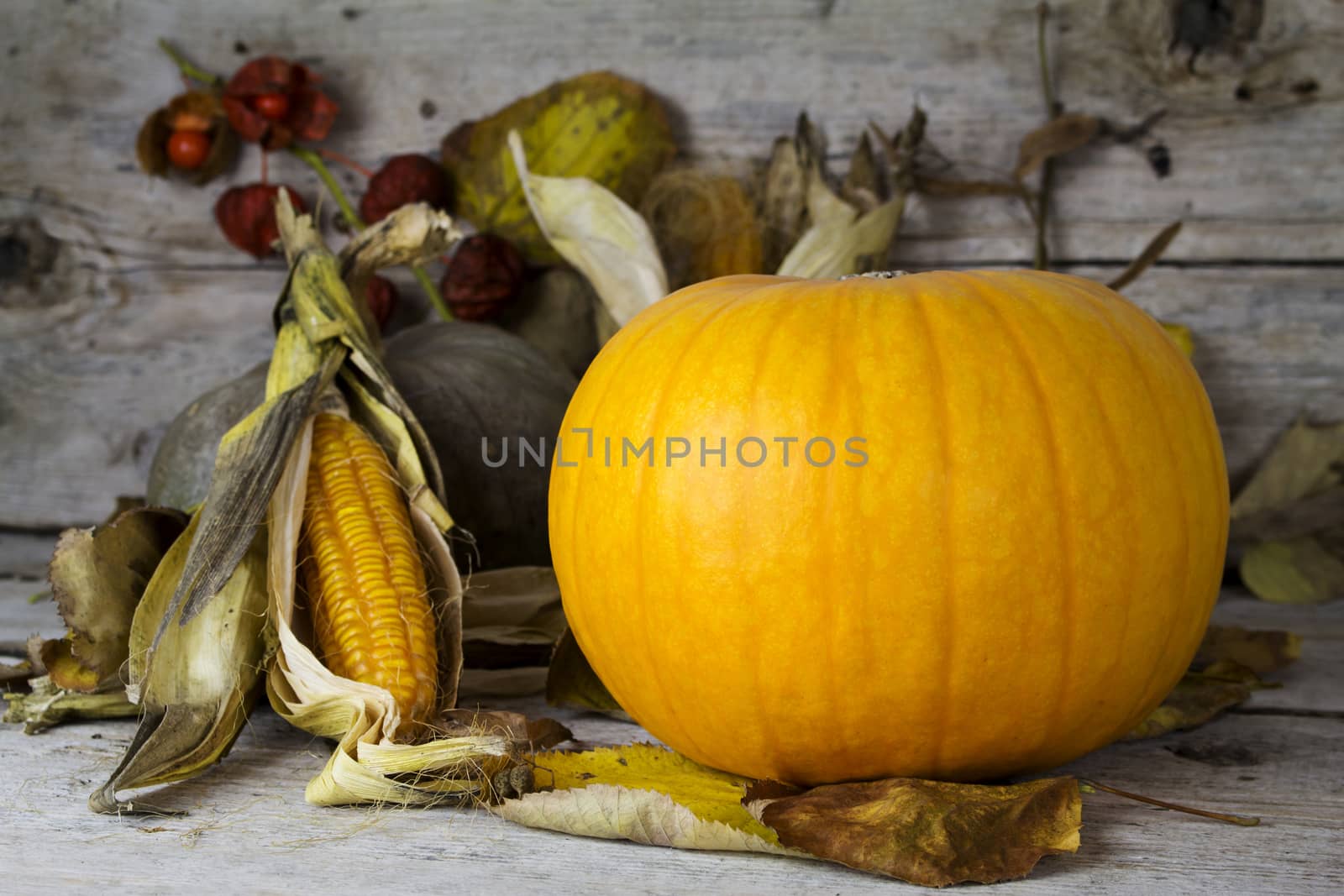 Happy Thanksgiving Day, Decoration on a wooden table with Pumpki by alexandarilich