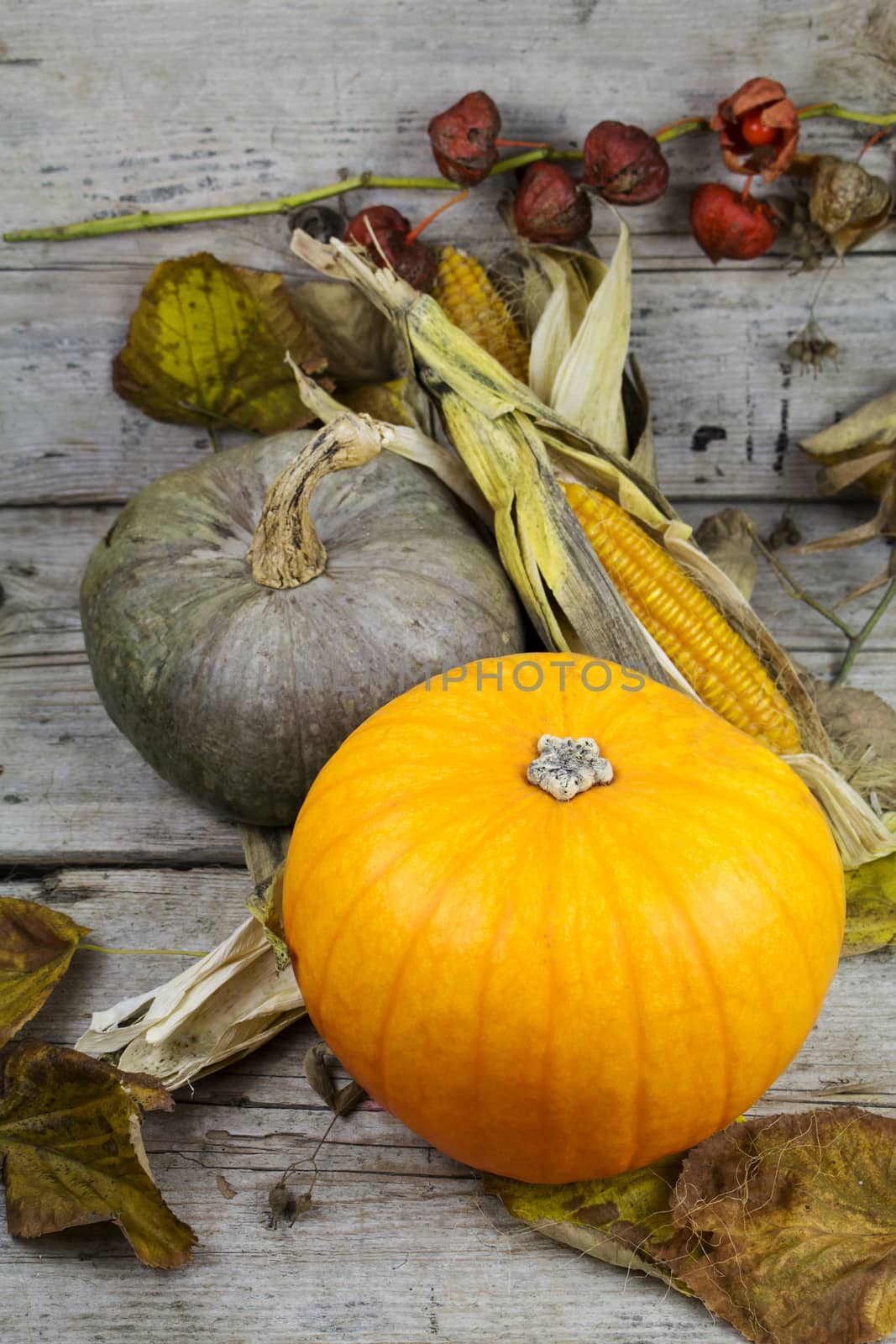 Happy Thanksgiving Day, Decoration on a wooden table with Pumpkins, Corncob and autumn leaves