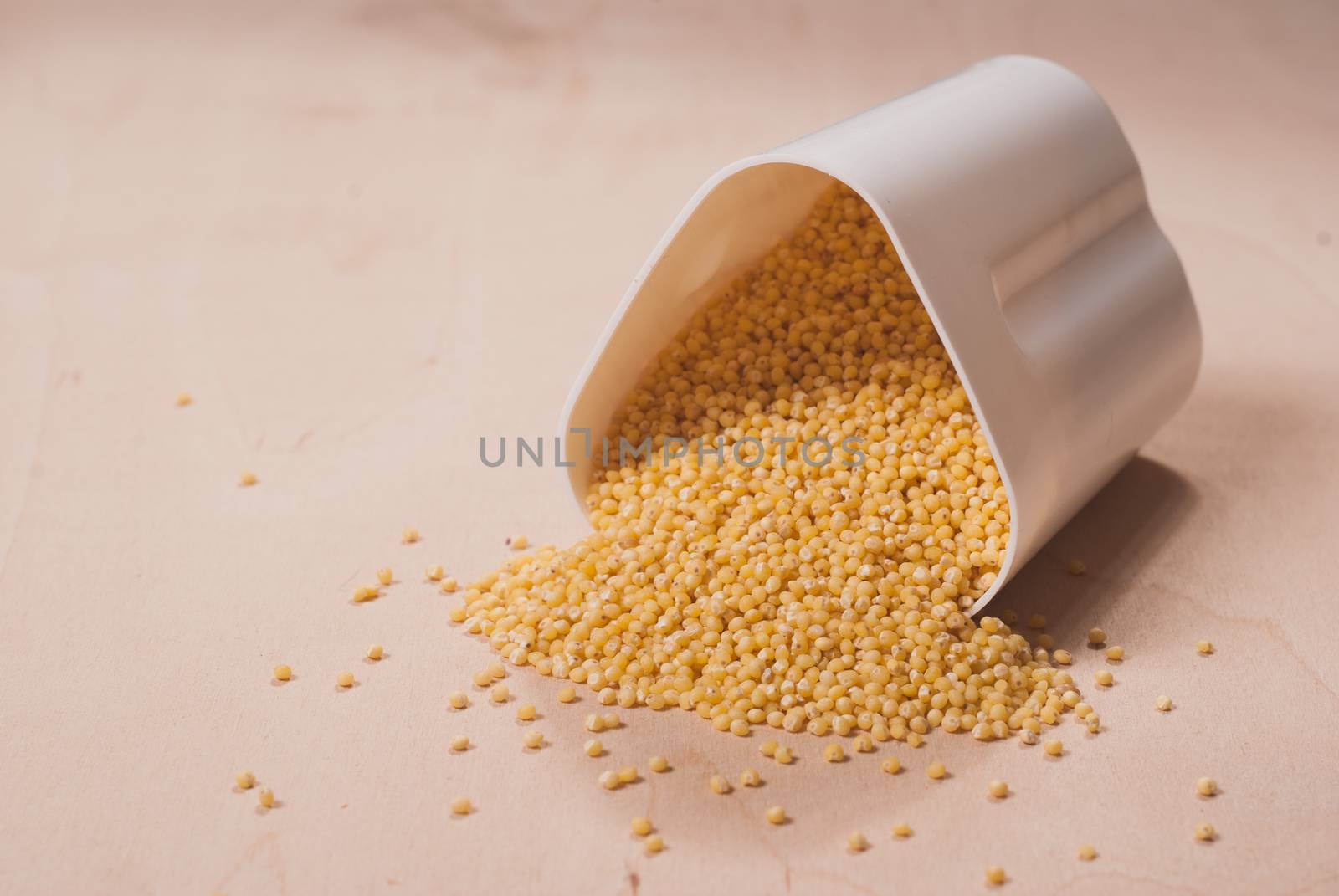 Millet scattered on the wooden table, the white container on the table, concept of healthy nutrition