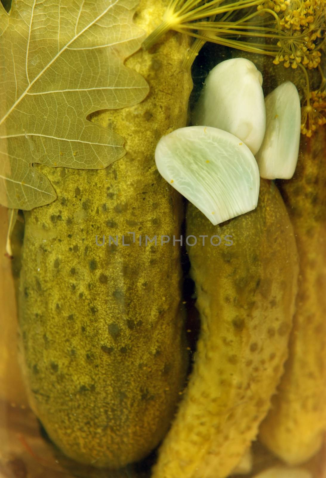 Glass jar with pickled cucumbers