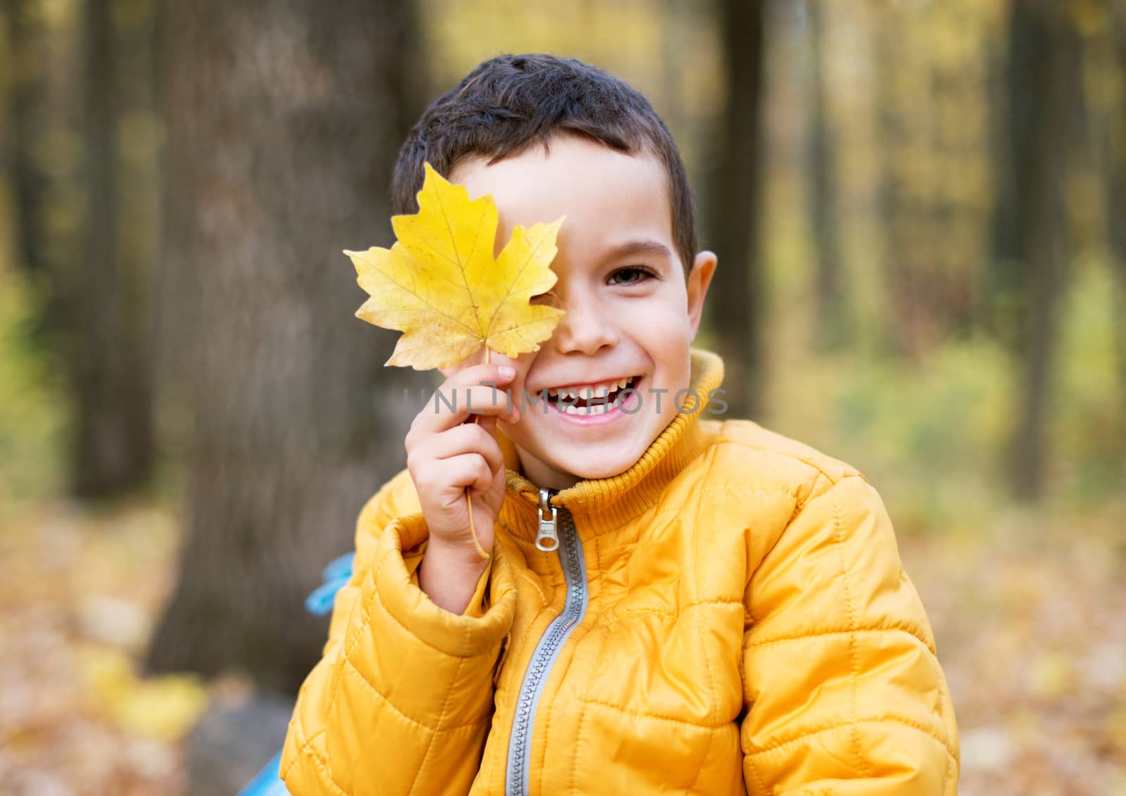Cheerful boy smiling and hiding behind yellow leaf by kzen