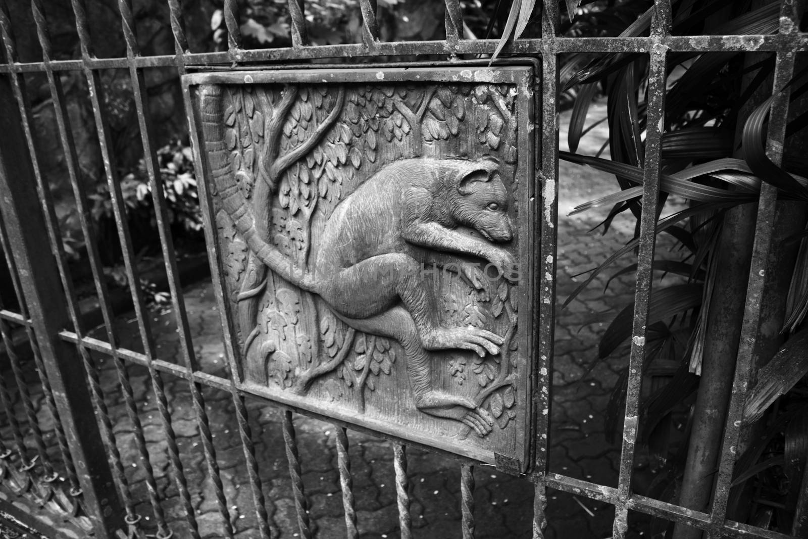 monkey theme iron fence closed for visitor
